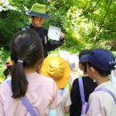 서상초병설유치원 이미지