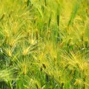 탑동농장 이미지