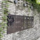 [서울] 연남동 &#34;오르페오&#34; :: 엘비스 후기 / 예약방법
