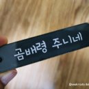 곰배령 주니네 이미지