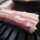 엉터리생고기 이미지