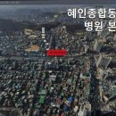 혜인종합동물병원