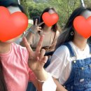 방이샤브샤브칼국수원주점