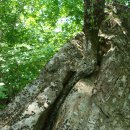 경찰서(원마트 앞) 이미지