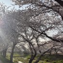 갈산리 마을회관 네이버블로그