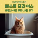 🐾고양이 모래 추천 / 베스트 프라이스 벤토나이트 모래로 바꿔봤어요! 금동이 사용 후기 공개✨