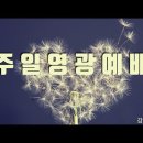 주일영광예배/주님의 증인된 삶을 살자/강윤희목사 이미지