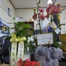 신현대공인중개사사무소 이미지