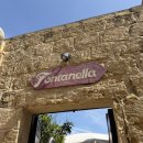 디나뷰 | 임디나 맛집투어 Fontanella Tea Garden 메뉴 추천 및 가격, 케이크 후기