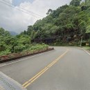 신호등카써비스 이미지