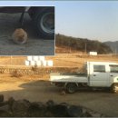 부복농장 이미지