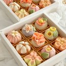 달콩정원 이미지