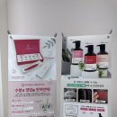 진아교통 | [부산/연제] 헤어스트록 눈썹 &#34;진아뷰티&#34;