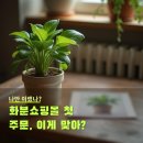 개화화훼직판장 | 화분쇼핑몰 주문 전 체크 3가지, 이것만 알고 주문하세요