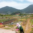 마산농장 이미지