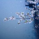 으뜸행정사사무소 이미지