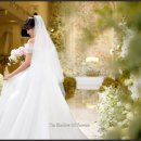 화음 | 가성비 좋은 본식 DVD 추천 업체 필름화음 촬영 후기