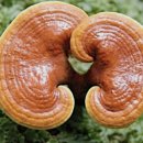 영지세탁 이미지