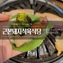 근본돼지식육식당 | 대청동맛집 근본돼지식육식당 후기! 삼겹살이 이렇게 부드럽다고?