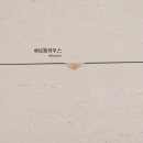 월인테리어 이미지