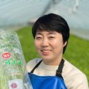 싱그러운청도로(봄) 이미지