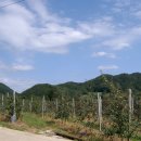 주천농원