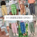 고쟁이 네이버블로그