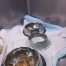 와와동물병원 이미지