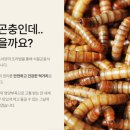미래와희망건강식품