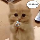 프로포즈 벤치 | Ep01. 제주도 해비치에서 깜짝 프로포즈 까르띠에 트리니티 목걸이