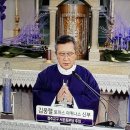 곡성당 Daum카페