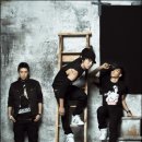 아이리스 이미지