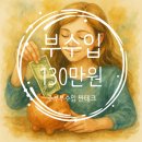 25년 5월 부수입 기록 이번달은 130만원 부수익 블로그체험단 애드포스트 테무 주부재테크