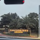 캠퍼트리 호텔 앤 리조트 | 제주 공항 근처 가성비 숙소 추천 캠퍼트리 호텔앤리조트 트윈룸 솔직 후기