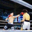 버팔로복싱짐 이미지