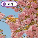 조정경기장 화장실 | 미사조정경기장 겹벚꽃 방문꿀팁 주차 뚜벅이 포토존