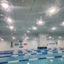 스윔키즈 이미지