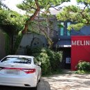 멜린다(Melinda Gourmet) 이미지