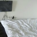 쉐이리코타키나 이미지