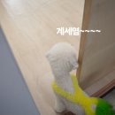 아이엔호텔 이미지