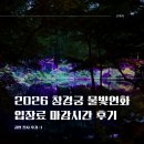 식당지로 | 2026 창경궁 물빛연화 티켓 입장료 마감시간 후기