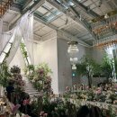 캐슬부페 | [인덕원역] 크리스탈 캐슬홀 빌라드지디 안양 결혼식장 후기 / 뷔페 후기