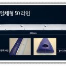 목련초등학교 이미지