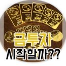 고용지 이미지