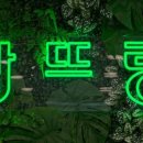 팡뜨랑 이미지