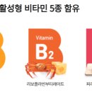 정은약국 이미지