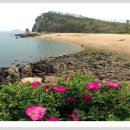 추부중학교 이미지