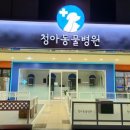 청아동물병원 이미지