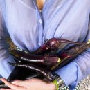 원두막민박 이미지