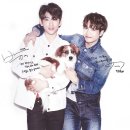 진영 카카오 검색결과